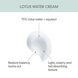 Calming Lotus Cream