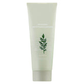Artemisia Pack Foam Cleanser