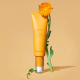 Calendula Relief Eye Cream